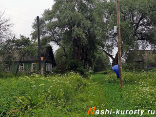 nashi-kurorty.ru