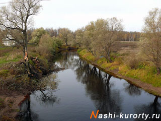 nashi-kurorty.ru
