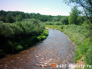 nashi-kurorty.ru